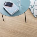 Gerflor Creation 55 LINEAR WOOD CLEAR 1701